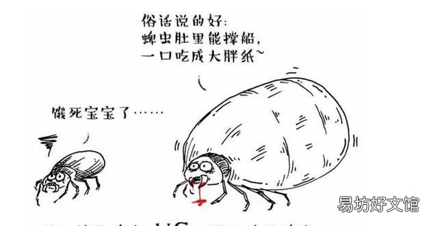 狗狗身上有很多蜱虫怎么办,狗狗身上有蜱虫而且很多怎么办
