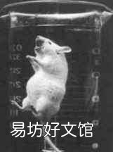 人能在液體里呼吸嗎,人能在哪種液體里呼吸