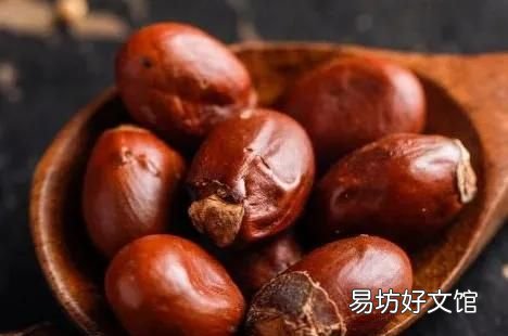 荔枝核有什么功用