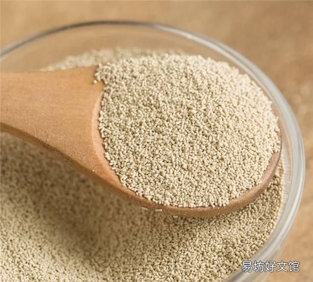 酵母能代替吗,用什么可以替代酵母粉
