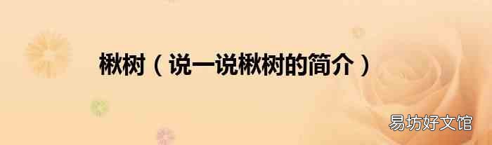 说一说楸树的简介 楸树