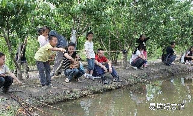 龙虾最喜欢的三种食物 龙虾最喜欢的食物是什么