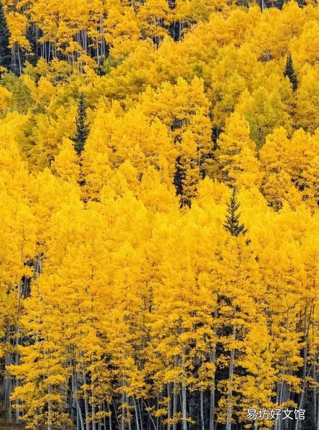 目之所及皆是世间最美的色彩 那些美妙的色彩总是令人陶醉