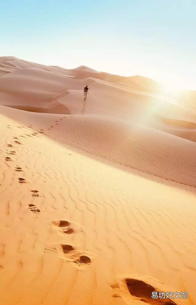 目之所及皆是世间最美的色彩 那些美妙的色彩总是令人陶醉