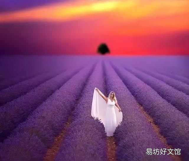 目之所及皆是世间最美的色彩 那些美妙的色彩总是令人陶醉