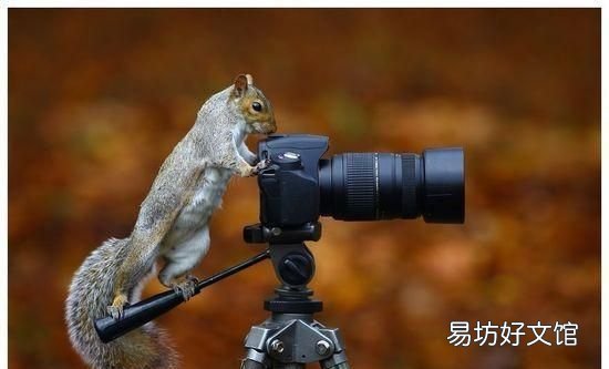 初学摄影入门,初学摄影从什么地方入门