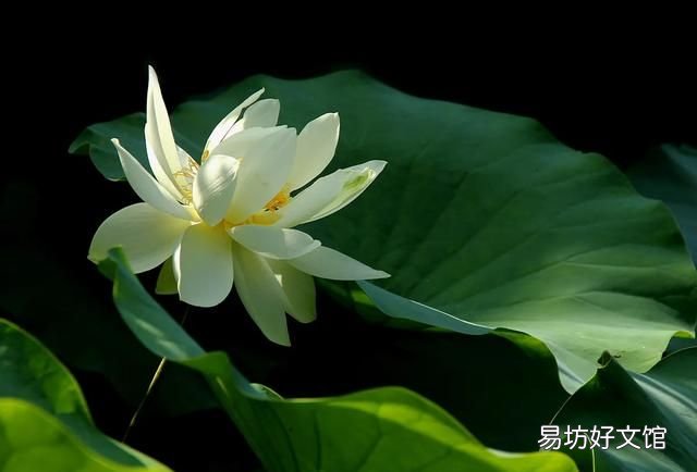 初学摄影入门,初学摄影从什么地方入门
