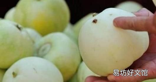 甜瓜怎么挑才能买到最甜的