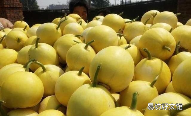 甜瓜怎么挑才能买到最甜的