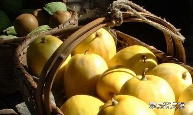 甜瓜怎么挑才能买到最甜的