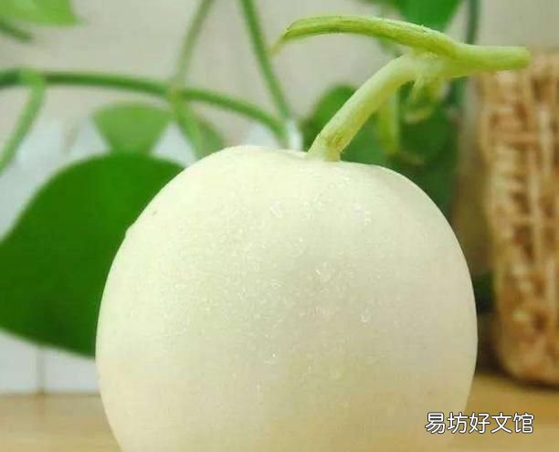 甜瓜怎么挑才能买到最甜的