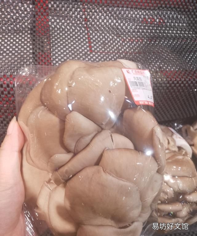 食用菌之平菇的简单介绍