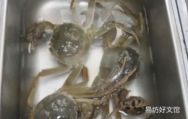 螃蟹吃不完怎么冷藏保鲜