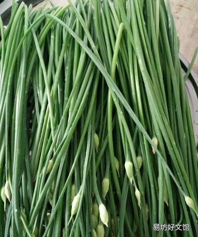 韭苔餡餃子的做法