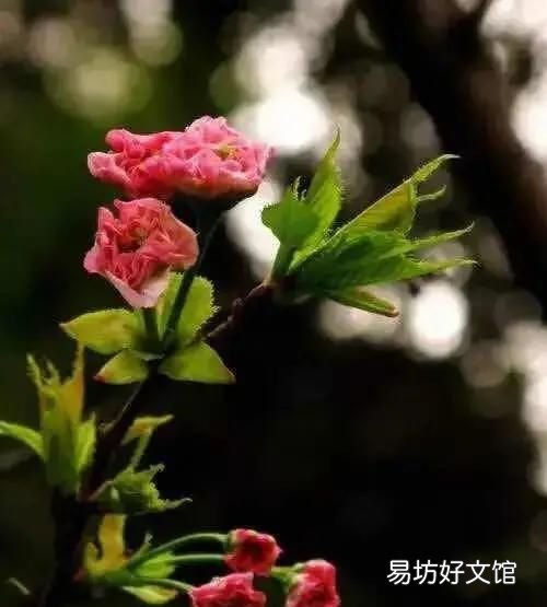 毛毯盖在被子上面还是下面暖和,冬天是被子在上面还是毛毯在上面