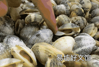 花甲吐沙最快的爆炒方法 炒花甲吐沙的正确方法