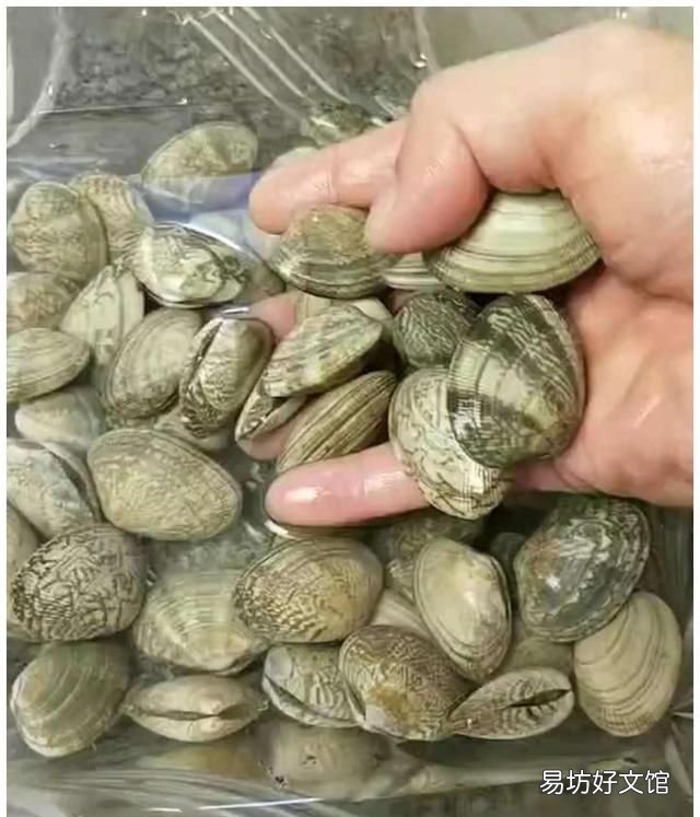 花甲吐沙最快的爆炒方法 炒花甲吐沙的正确方法