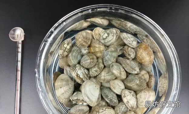 花甲吐沙最快的爆炒方法 炒花甲吐沙的正确方法