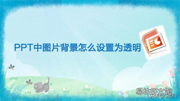 ppt设置图片透明度的方法 ppt图片透明度怎么更改