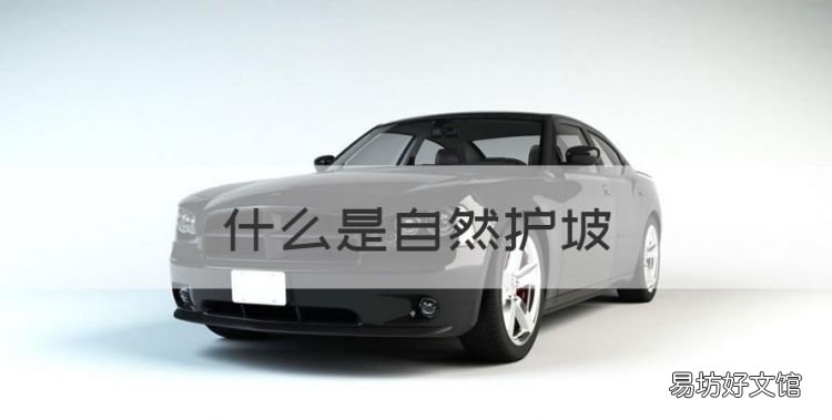 什么是生態板，什么是自然護坡