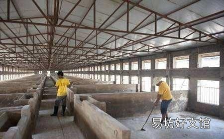 猪场如何正确使用生石灰消毒液