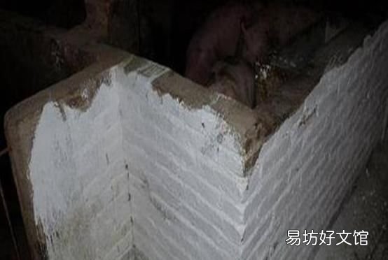 猪场如何正确使用生石灰消毒液