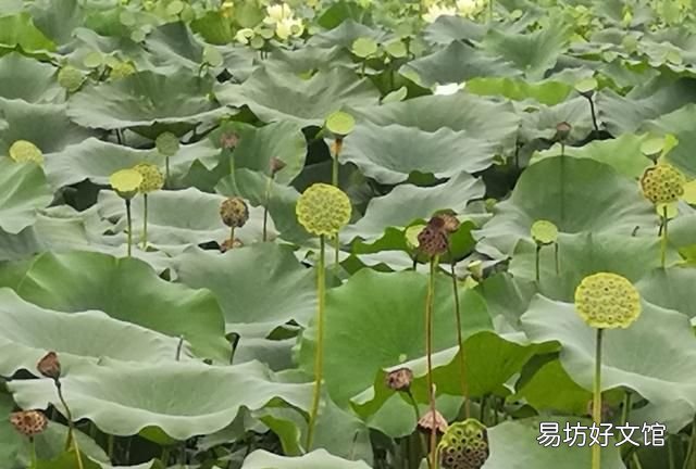 长大后发现小时候的事情不一样的