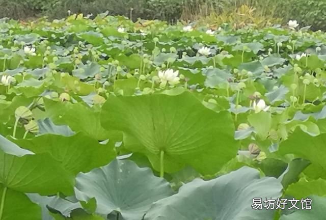 长大后发现小时候的事情不一样的