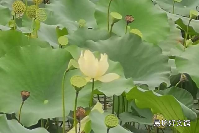 长大后发现小时候的事情不一样的