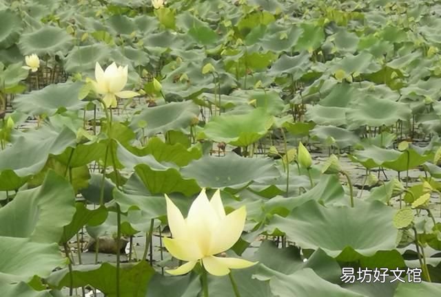 长大后发现小时候的事情不一样的