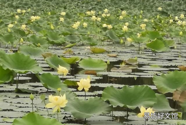 长大后发现小时候的事情不一样的
