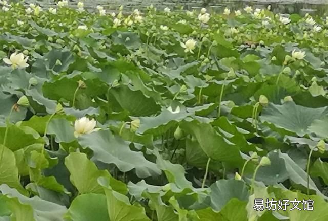 长大后发现小时候的事情不一样的