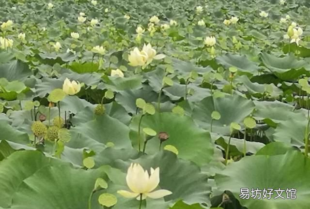 长大后发现小时候的事情不一样的