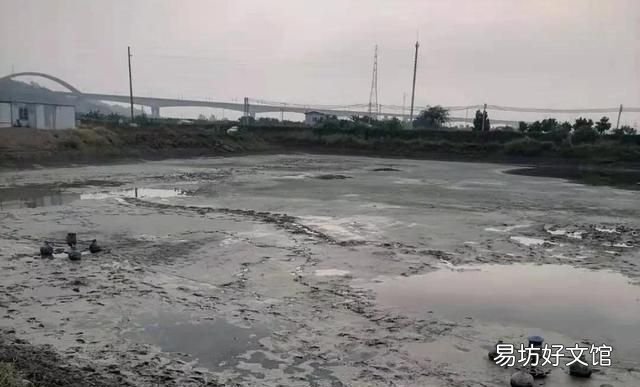生石灰是什么消毒剂,鸡场用生石灰做消毒剂是否有效
