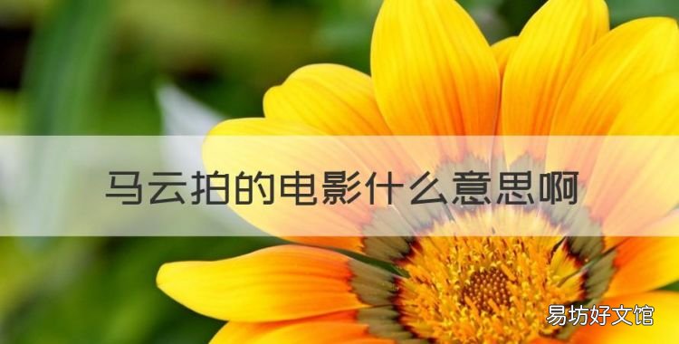马云拍的电影什么意思,马云主演的电影叫什么名字