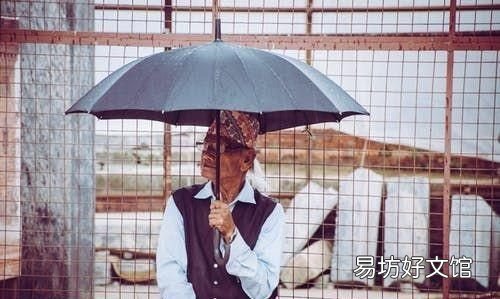 遮阳伞该怎么选择