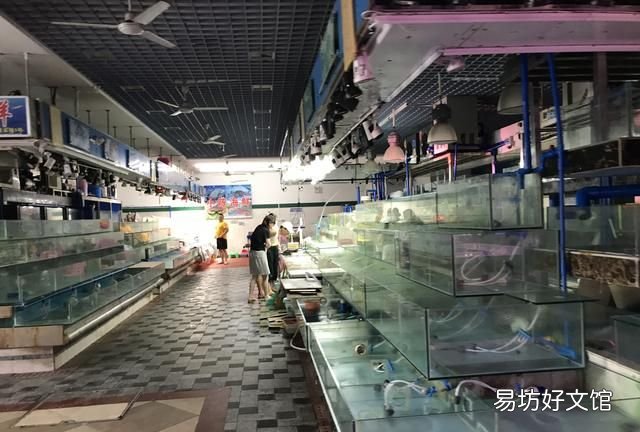 三亚清水湾适合居住吗