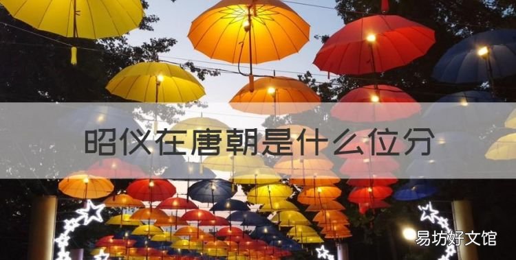 昭儀在唐朝是什么位分，昭儀在清朝是什么位分