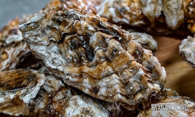 海蛎子蒸多长时间最合适