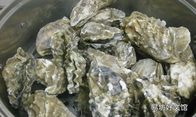 海蛎子蒸多长时间最合适