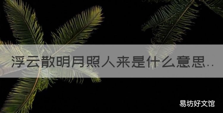 浮云散明月照人来是什么歌,浮云散明月照人来是什么意思
