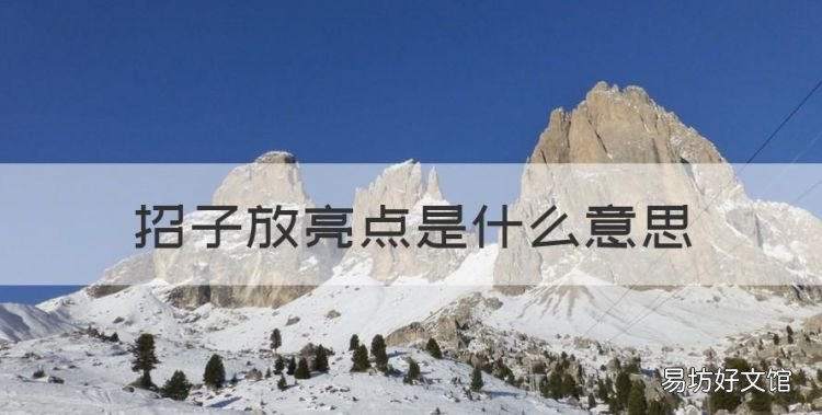 招子放亮点是什么意思，常听到有人打架完就说“罩子放亮点”