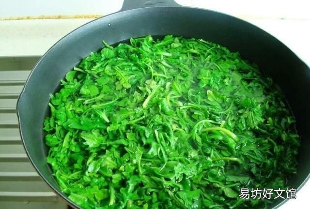 干荠菜包子荠菜用开水焯吗 用荠菜包饺子要不要焯水