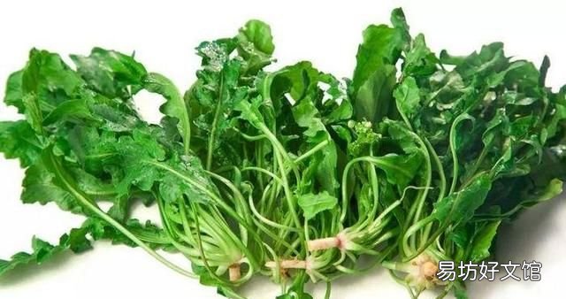 干荠菜包子荠菜用开水焯吗 用荠菜包饺子要不要焯水