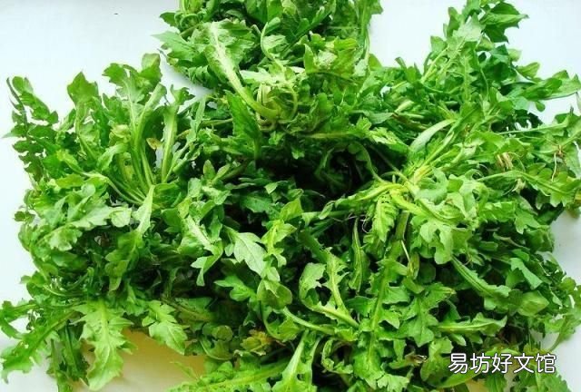 干荠菜包子荠菜用开水焯吗 用荠菜包饺子要不要焯水