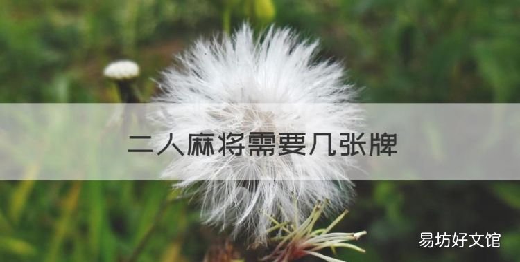 溫州二人麻將下載，二人麻將需要幾張牌