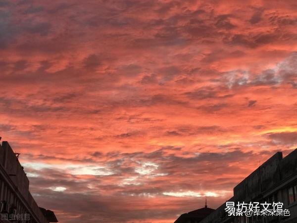 浅谈这两类人的性格特点分析 什么是理性什么是感性的人