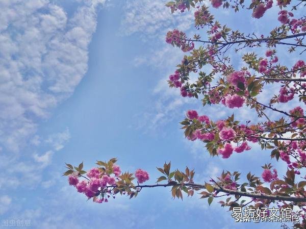 浅谈这两类人的性格特点分析 什么是理性什么是感性的人