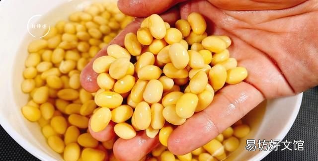 打豆浆时最忌直接打黄豆,黑豆做豆浆和黄豆豆浆味道一样吗