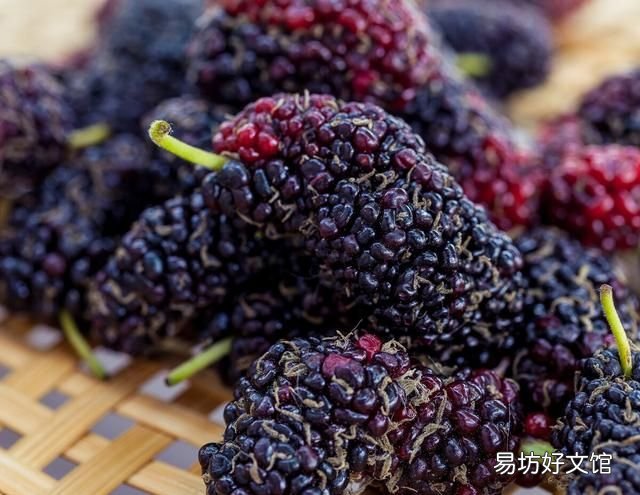 桑葚干怎么挑选好的,桑葚干怎么选